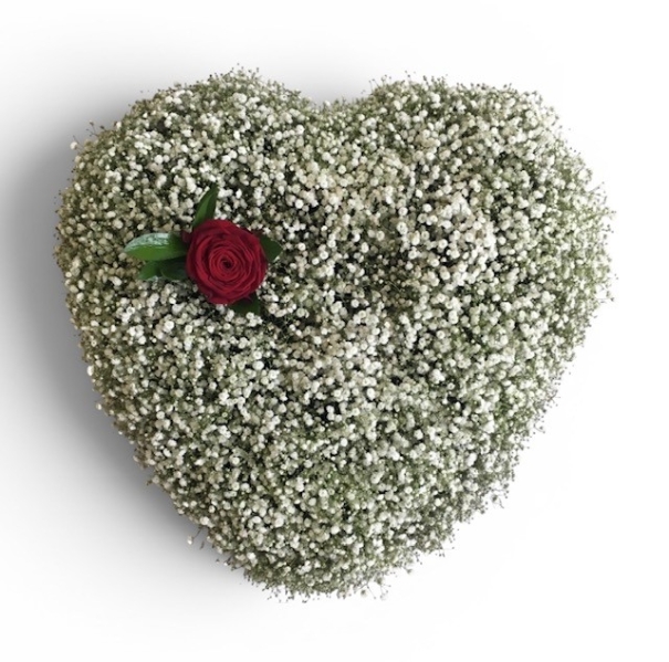 Gypsophila & Single Red Rose Based Heart Funeral Tribute