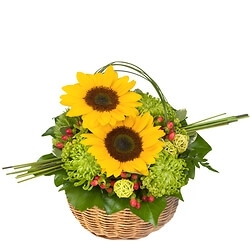 Sunshine Basket Arrangement