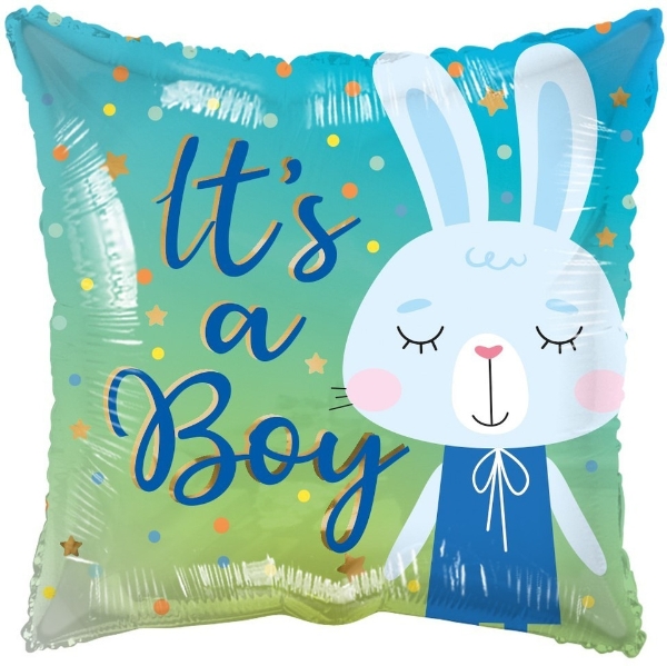 Its A Boy Rabbit