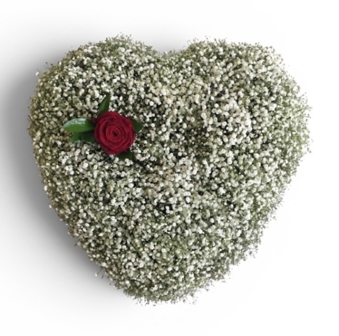 Gypsophila & Single Red Rose Based Heart Funeral Tribute
