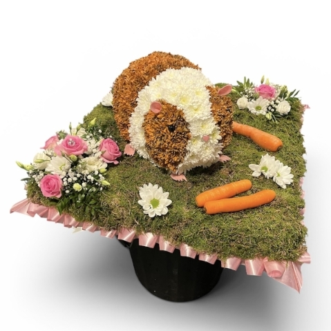 3D Guinea Pig Funeral Tribute