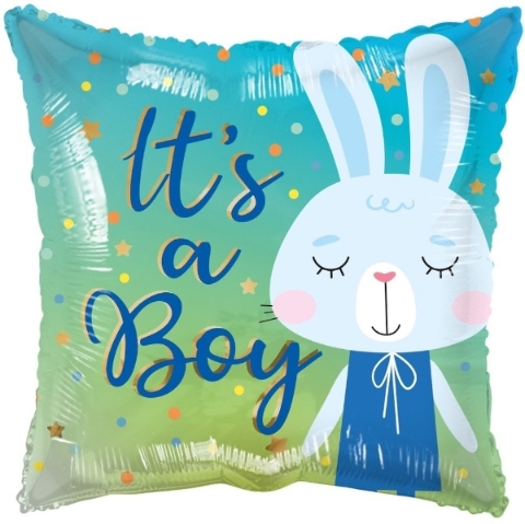 Its A Boy Rabbit