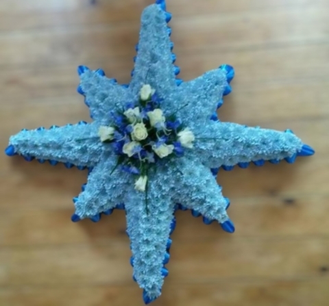 Northern Star Funeral Tribute