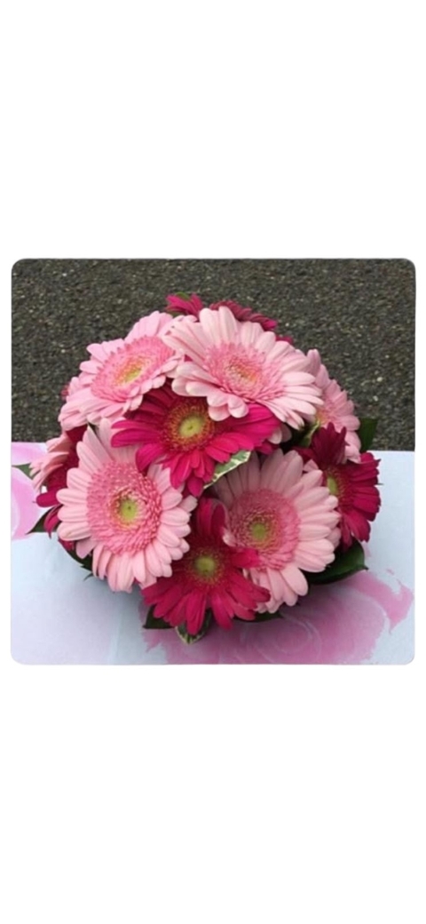 Pink Gerbera Bouquet